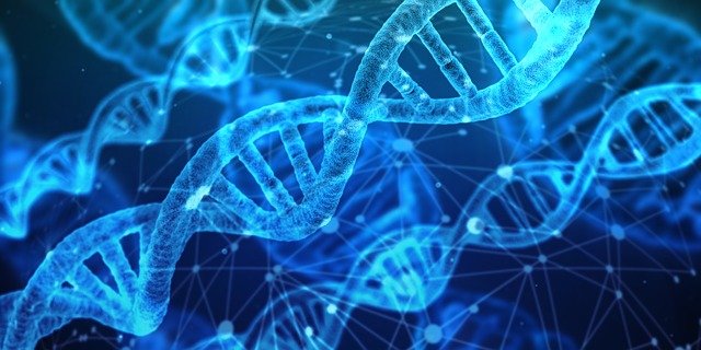 게놈 프로젝트(Genome Project) 