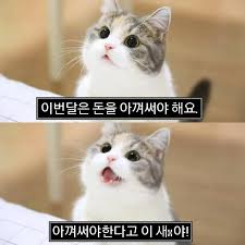 디큐뮬레이션(Decumulation) 