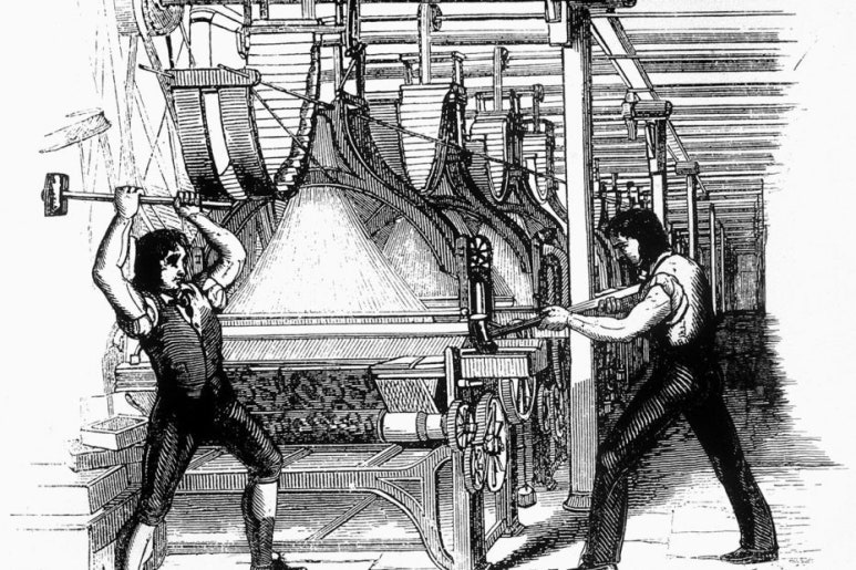 러다이트 운동(Luddite Movement)
