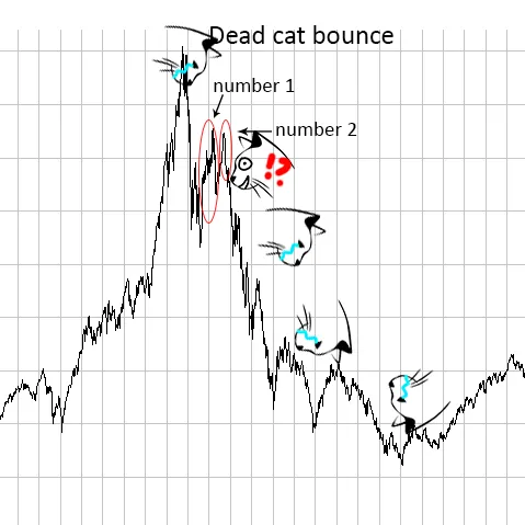 데드 캣 바운스(Dead Cat Bounce)란?